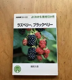 Item thumbnail for item d7f6cf13-fec6-40c9-940d-46e6106b3d2b