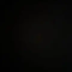 lippu様専用ページ