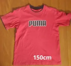 プーマ半袖Tシャツ150cm