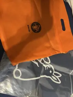 Item thumbnail for item 195e3d3e-31d1-4e81-a113-204c603588db