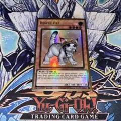 EU版 レスキューキャット 絵違い プレミアムゴールド 遊戯王 海外 英語 米
