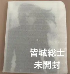 蒼穹のファフナー オンラインくじ アクリルパネル A賞 総士 一騎 甲洋