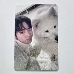 Chip様 リクエスト 2点 まとめ商品