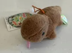 AMUSE ぷちまる 爬虫類ずかん コモドオオトカゲ マスコットぬいぐるみ