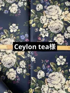 Item thumbnail for item 8512af4b-a84f-427a-9e3b-c6aa648560f1