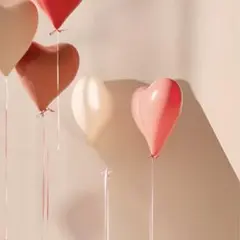 のん様 専用ページです ‎♡⃛ ̖́-