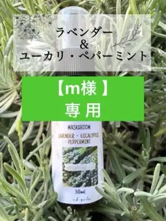 【m 様 専用】
