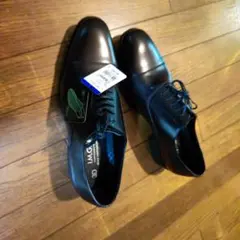 Item thumbnail for item 57cddb4b-7fd0-4b07-8ff2-adc8ef36bc18