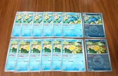 ポケモンカード　コダック　ゴルダック　ミラー　進化ライン　しめりけ