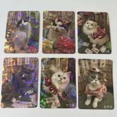 猫カフェmocha にゃんずトレカ わくわく夏祭り 吉祥寺店 | Mercari