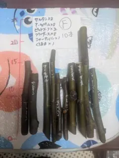 みゆゆん様 リクエスト 2点 まとめ商品