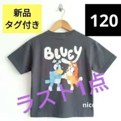 신제품 블루이 블루이 티 120cm 차콜 빙고 반팔