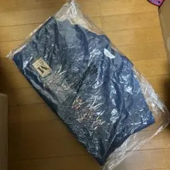 Item thumbnail for item 6cd2d84c-4cfb-4230-b0c4-b1ecb5fca811