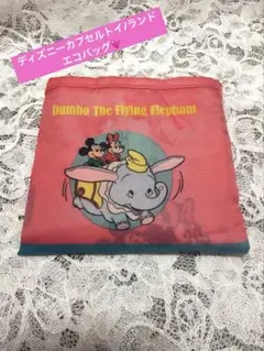 【新品未使用】ディズニーランド　エコバッグ　未使用