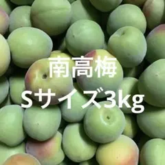南高梅　Sサイズ　3kg クール便　ATMコンビニ不可　サービス品のサムネイル