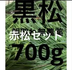 赤松の葉黒松野菜　岡山県産　松の葉　松葉即日発送　松の葉　野菜　即購入可能松葉茶のサムネイル