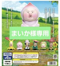 まいか様専用 こびとづかん4体