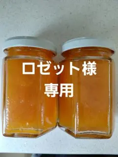 【ロゼット様専用】あんずジャム 160g 3個セットのサムネイル