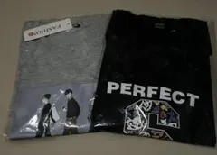 ラストの2枚　グレー・黒 メンズ4XL (4L？)Tシャツ 2枚セット