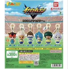 イナズマイレブン　イナイレ　めじるし　コンプリートセット