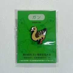 Item thumbnail for item 10a1e484-14c8-4fcf-9883-3fb2c4600299