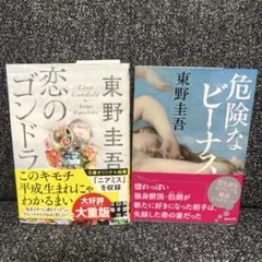 東野圭吾 小説2冊セット