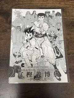 2026年最新】冨樫義博展 クリアファイルの人気アイテム - メルカリ