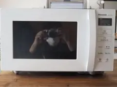 2025年最新】ne-fl100-wの人気アイテム - メルカリ