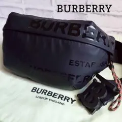 美品 バーバリー ボディバッグ ロゴ 保存袋付き クロスボディ 黒 ユニセックス