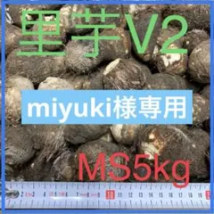 2025年最新】里芋の種芋の人気アイテム - メルカリ