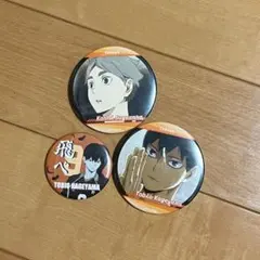 2026年最新】ハイキュー菅原 缶バッジの人気アイテム - メルカリ