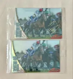 【最終お値下げ】ドウデュース 武豊 サラブレッドホースコレクション 箔押し JC