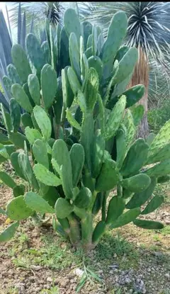 taka09092001様 リクエスト 2点 まとめ商品