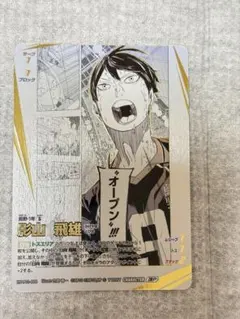 2026年最新】ハイキューバボカの人気アイテム - メルカリ