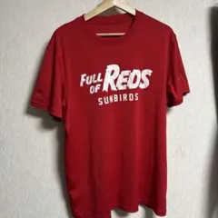 新品タグ付】 サントリー サンバーズ Tシャツ M アンダーアーマー