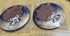 家庭教師ヒットマンREBORN 星颂夜 中国限定缶バッジ 沢田綱吉