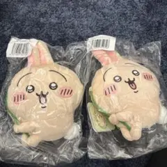 うさぎだらけくじ