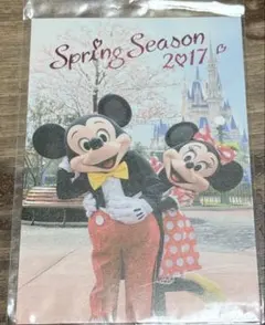 ミッキーマウス ミニーマウス 春のシーズン 2017 ポストカード