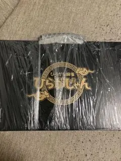 1660-Y LOOZER 壁短焦点プロジェクター SP02 未開封 LOOZER』まるで