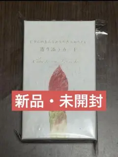 chica 寄り添うカード 48枚 メッセージ文字入りセルフリーディング