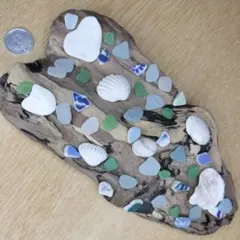 流木 セット*369*☆☆☆