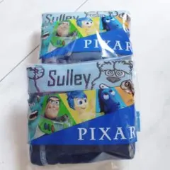PIXAR ボクサーパンツ Lサイズ 2枚　モンスターズインク　サリーのサムネイル