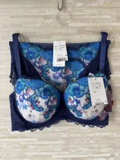 D70M」トリンプ プレミアム レッドレーベル ロココ・フローラル ブラショーツ