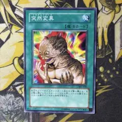 遊戯王　突然変異　メタモルフォーゼ