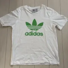 adidas originals ロゴ Tシャツ ホワイト/グリーン