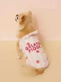 新品未使用　未開封　GELATO PIQUE ストライプ柄 犬用ウェア　Lのサムネイル