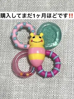 Sassy 歯固め ラトル 蝶々型 知育玩具のサムネイル