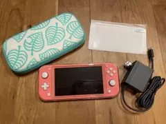 Nintendo switch lite 本体　キャリングケース付き