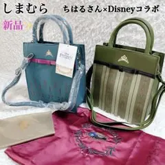 新品✨しまむら ちはるさんコラボ 【アナ雪 戴冠式ドレスバッグ】2個+エコバッグ