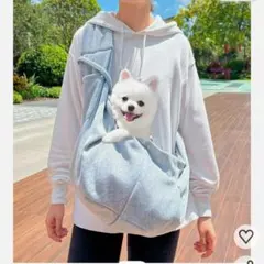 Item thumbnail for item 48e68d2b-cdf1-4edc-bcfa-fb0d53e5faa3